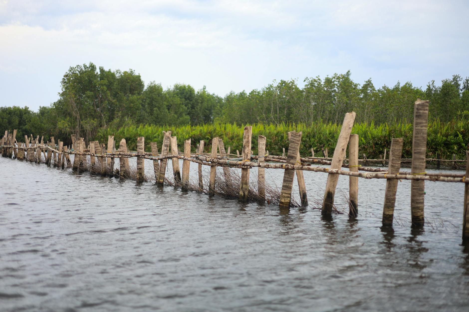 美式足球訓練營 力量速度戰術全方位提升 美式足球訓練營 力量速度戰術全方位提升