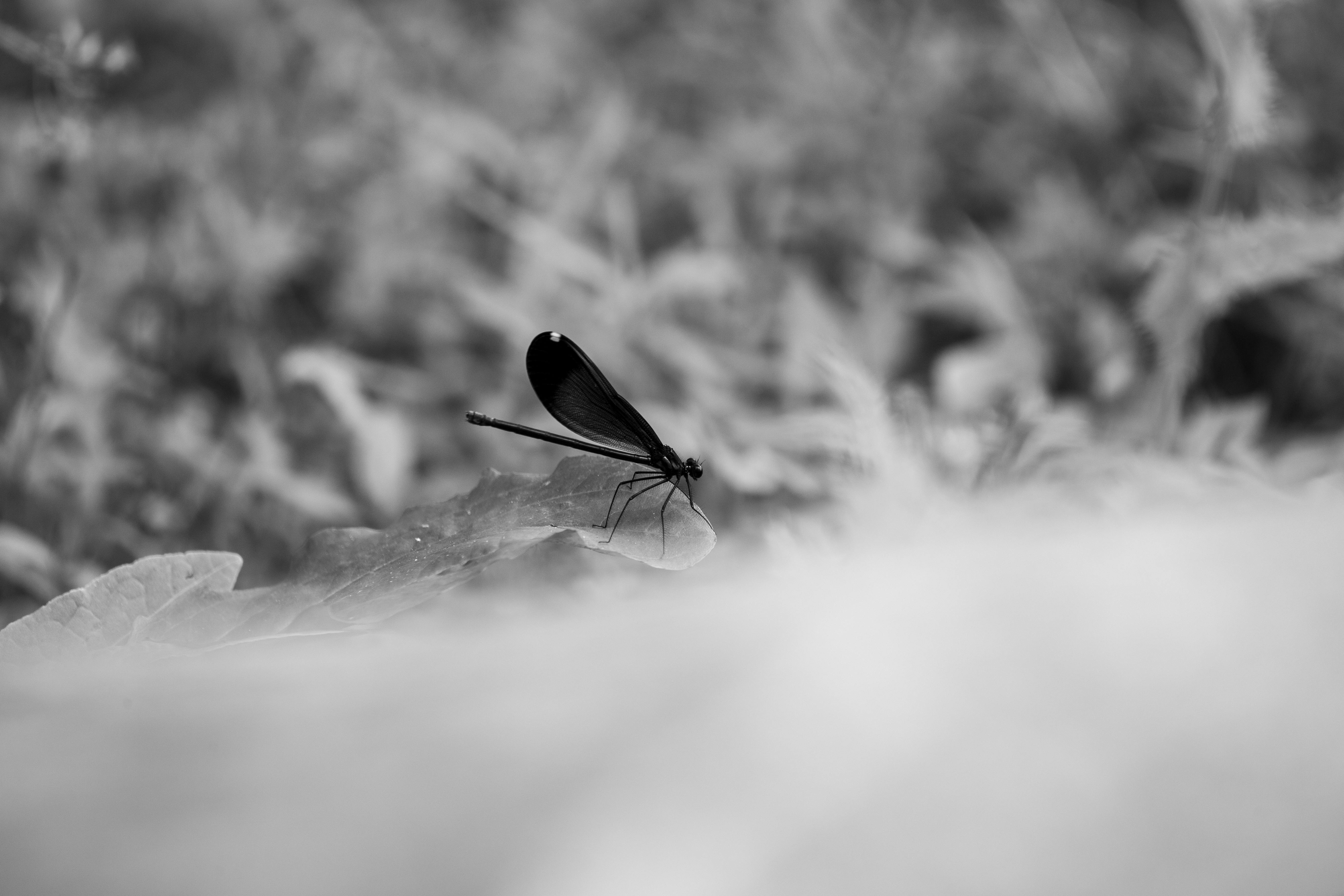 ### 2. Smooth Updates