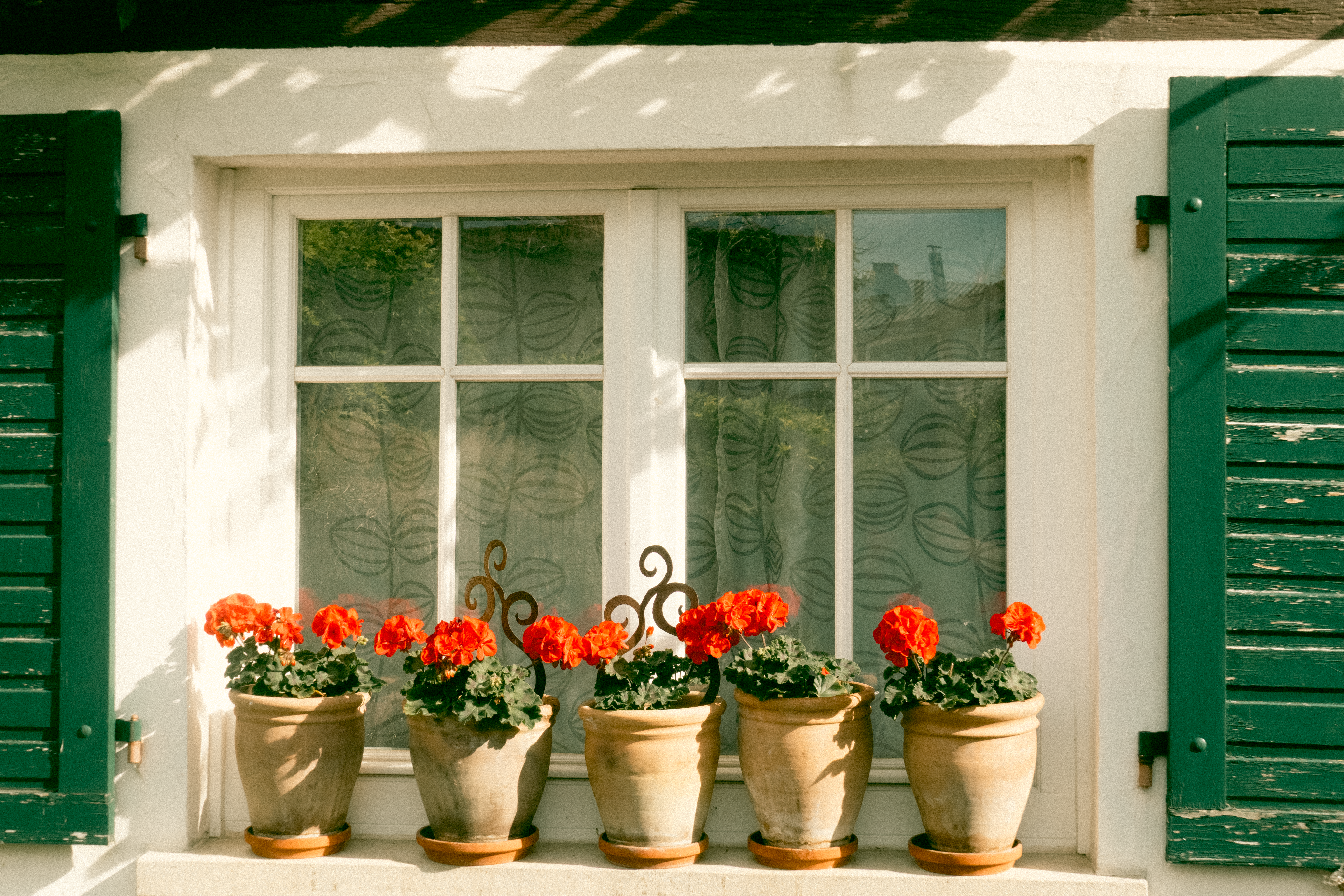 Bright red geraniums in terracotta pots adorning a rustic window sill, conveying a warm and welcoming vibe.
