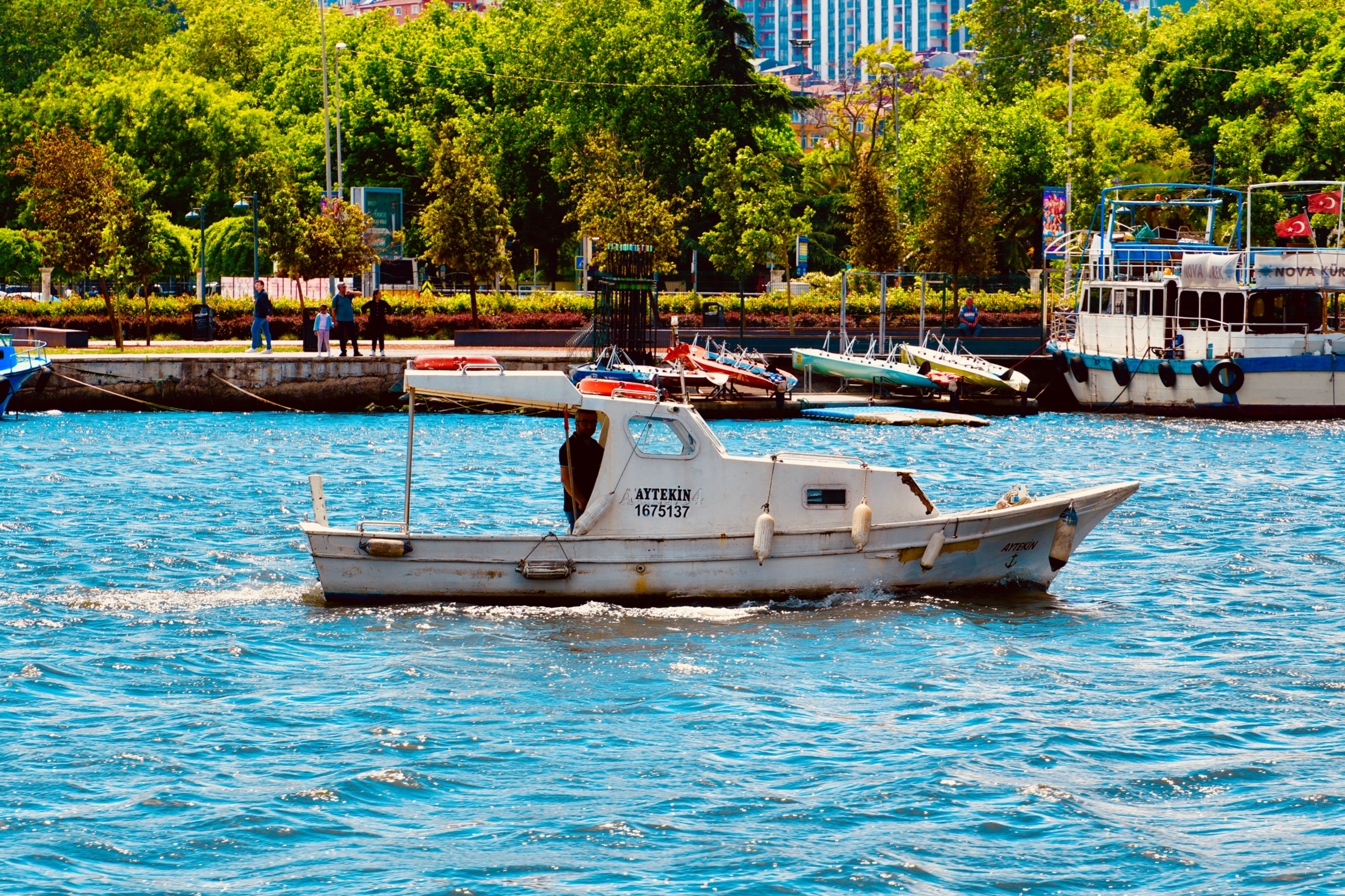 Free boat rides, health camps mark Women’s Day fete — Photo by Ramazan Toygun on Pexels