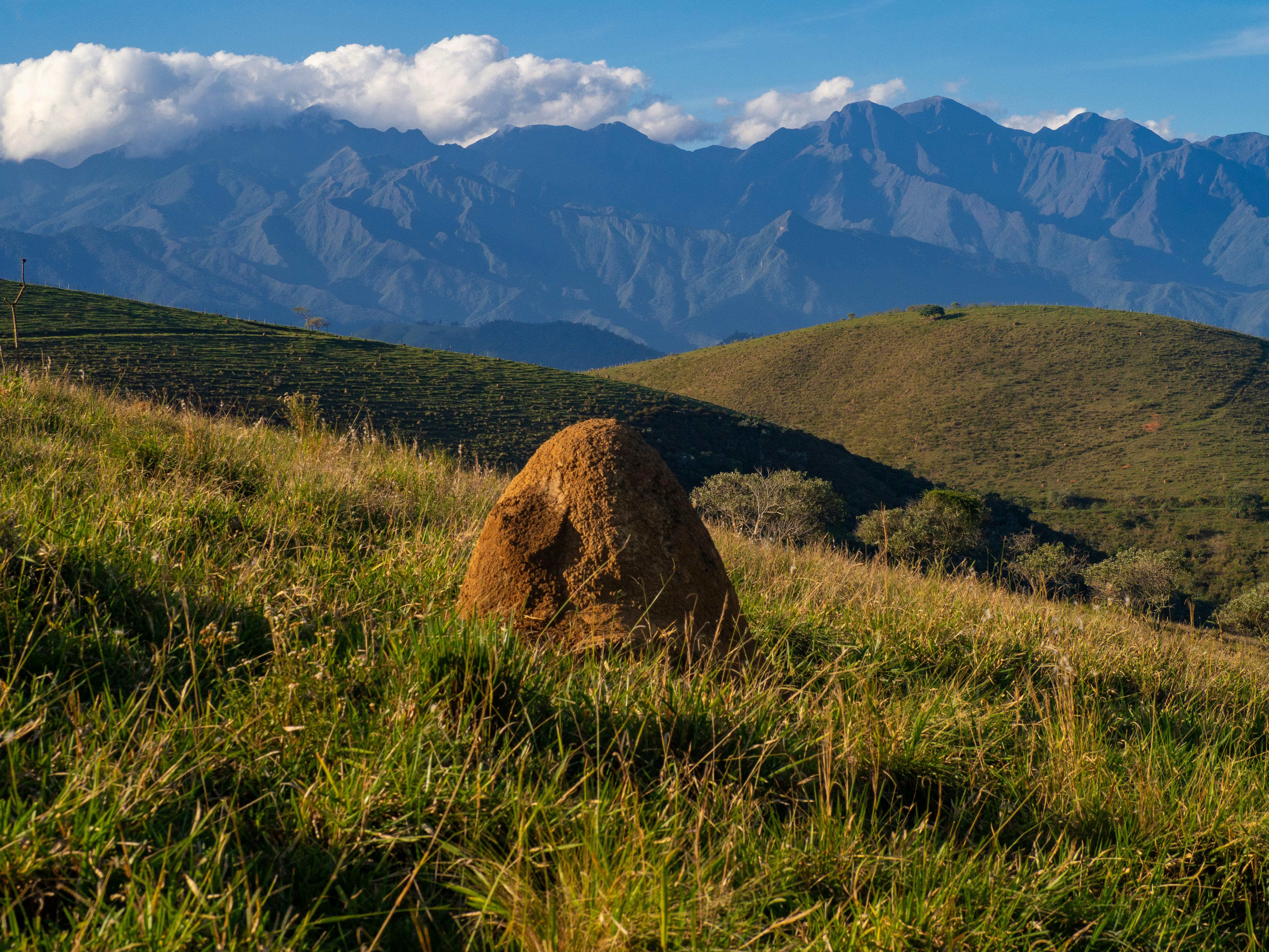 A serene landscape featuring a prominent termite mound against a backdrop of mountains and clear skies during the day.