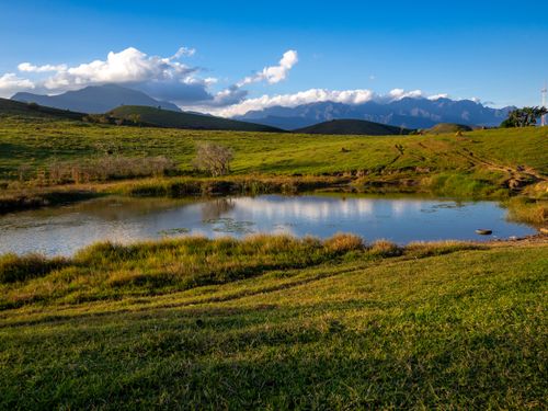 Free Peaceful pond amidst lush greenery with mountain views under a clear blue sky. Stock Photo