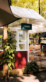 Sunny outdoor café cashier booth surrounded by plants and trees with a tropical vibe.