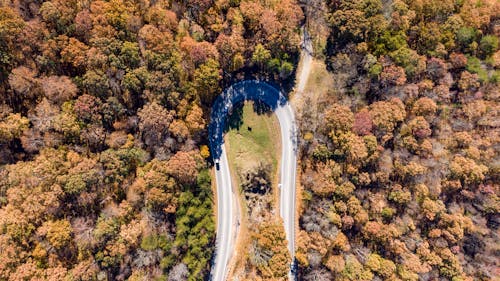 Vista Aérea De La Carretera Curva Cerca De árboles