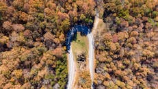 蜿蜒的道路穿过充满活力的秋季森林景观，被空中拍摄下来