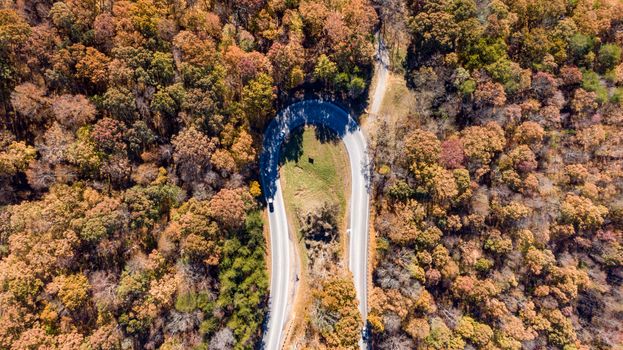 蜿蜒的道路穿过充满活力的秋季森林景观，被空中拍摄下来