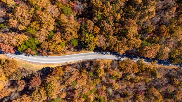 Aerial shot highlighting a winding road through a vibrant autumn forest.