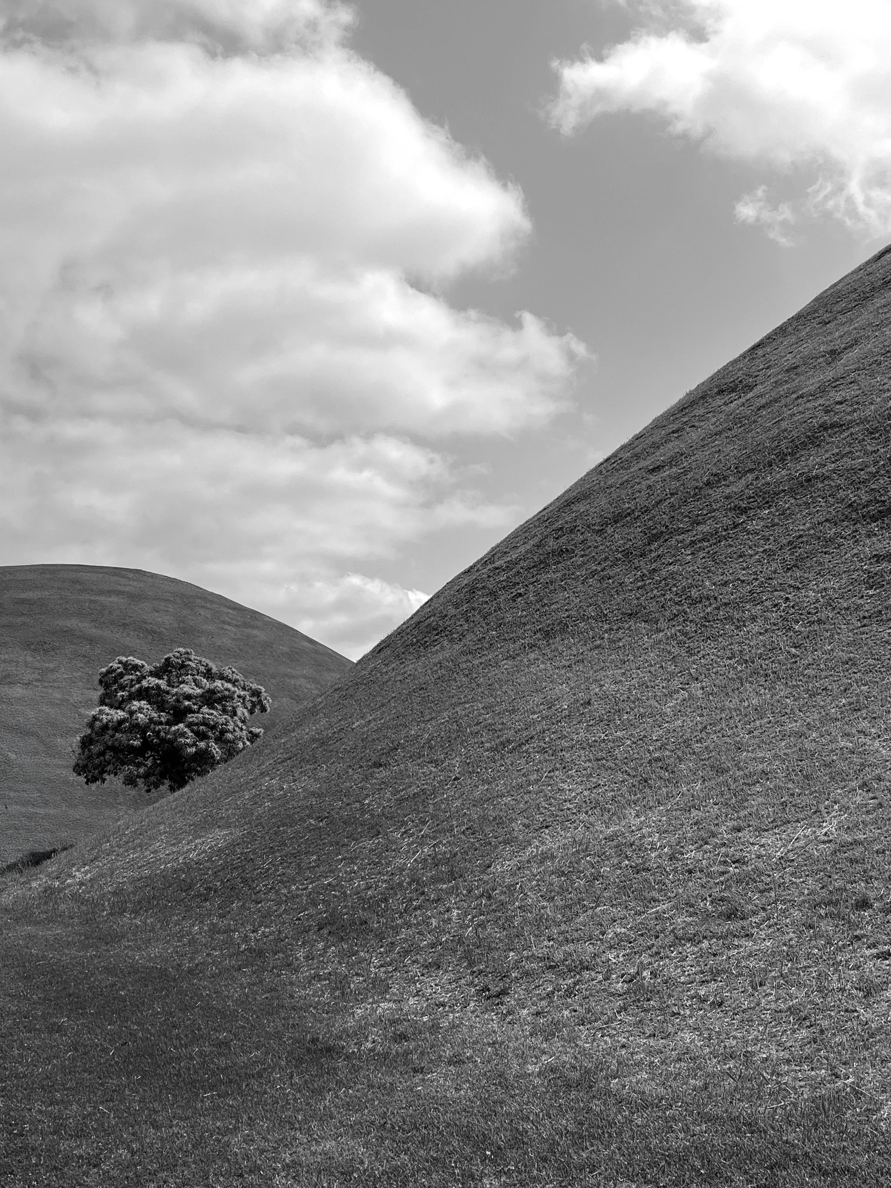 Black and white photo of a hillside with a lone tree beneath a cloudy sky.
