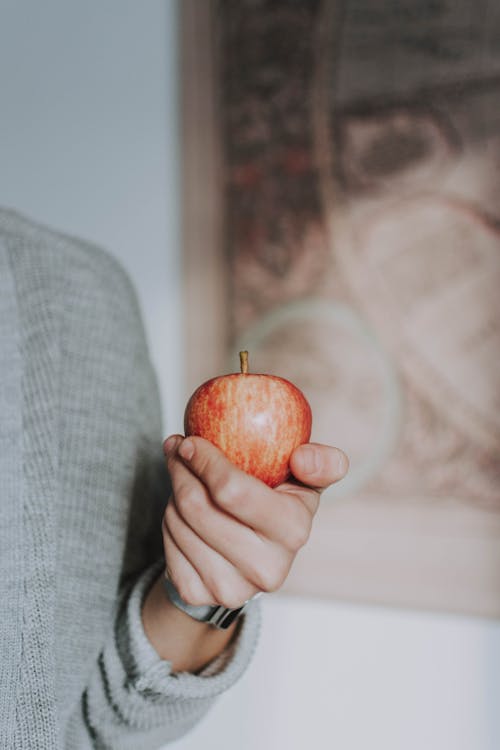 Foto d'estoc gratuïta de Apple, dona, fresc