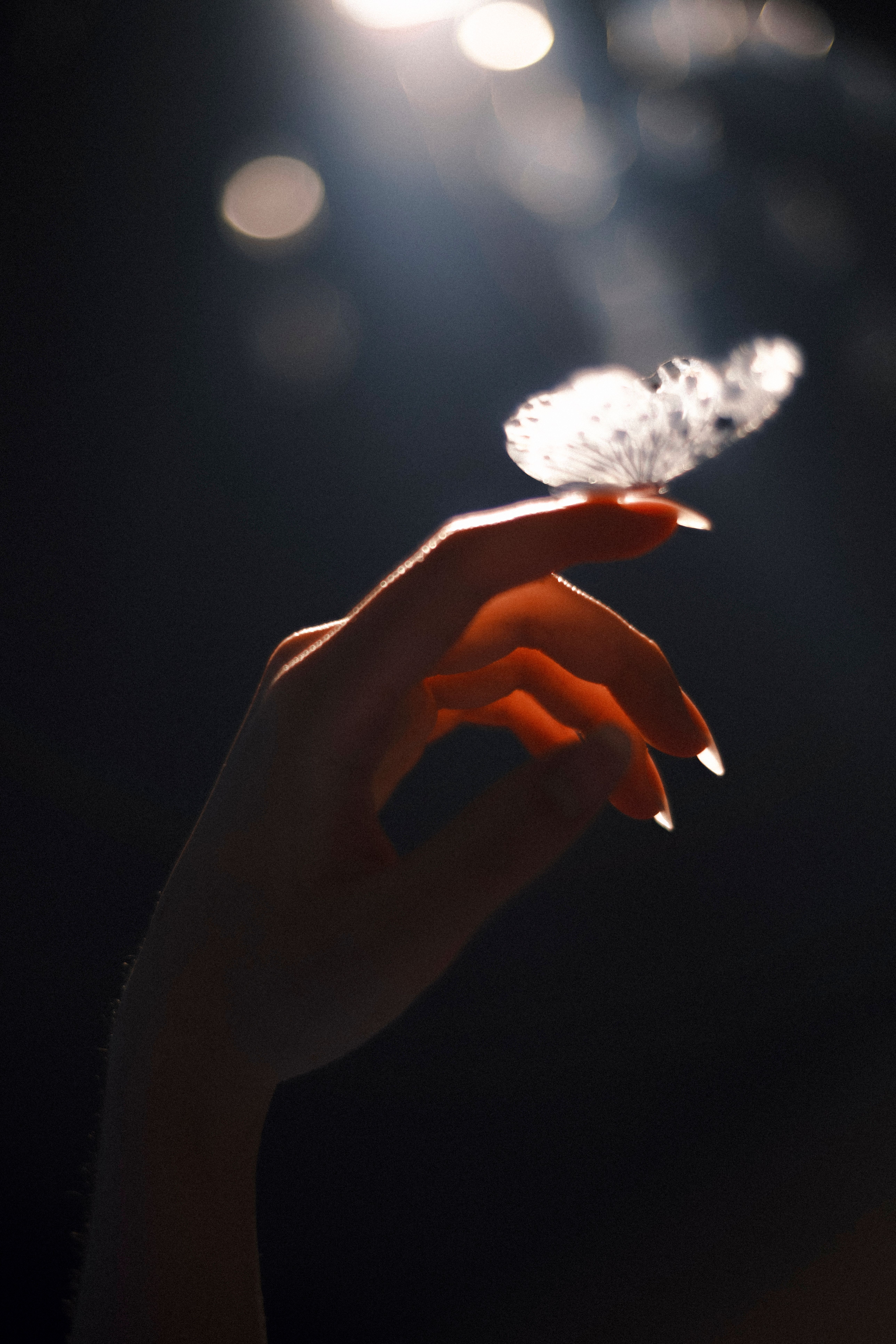 A delicate hand holds a feather against a dramatic light background, casting a soft and ethereal mood.