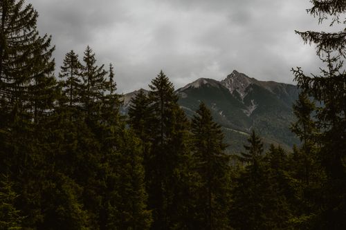Free Scenic view of a lush forest with a majestic mountain under overcast skies. Stock Photo