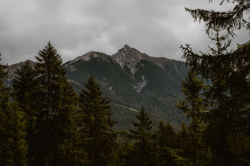 Free A dramatic mountain landscape with dense pine forest under overcast skies. Stock Photo
