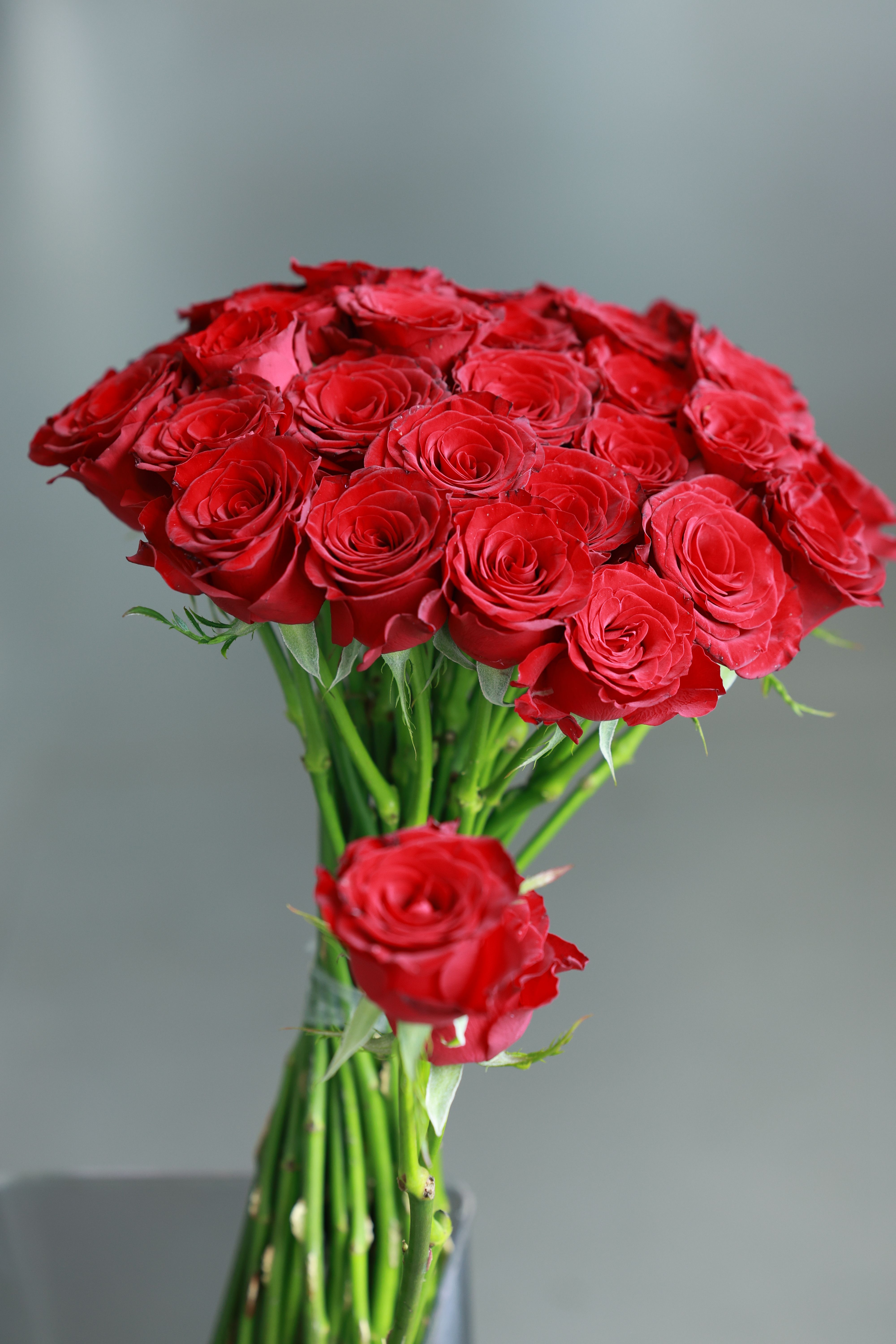 Rose bouquet Croatia