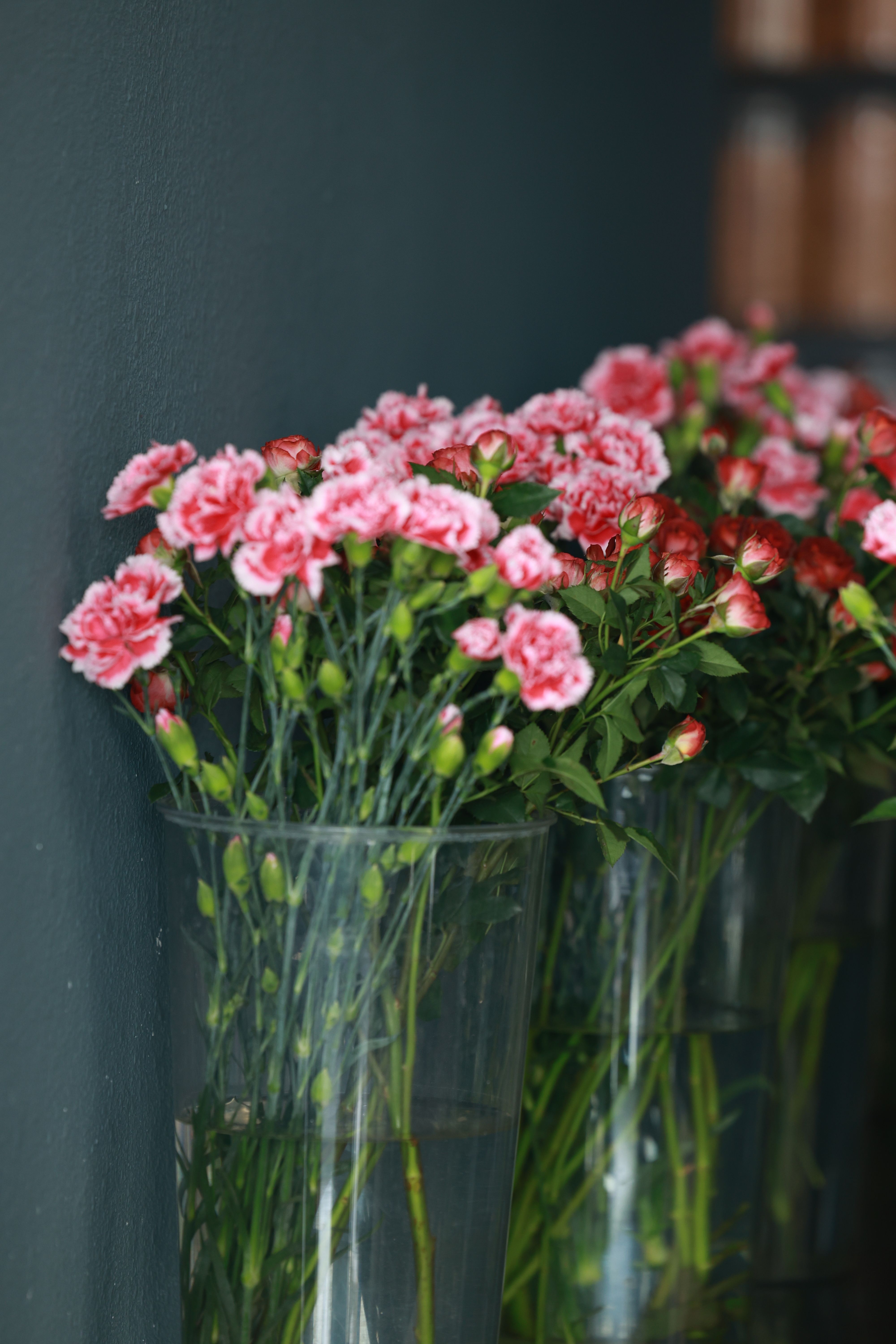 Charming pink carnations elegantly displayed in tall glass vases for a touch of nature indoors.
