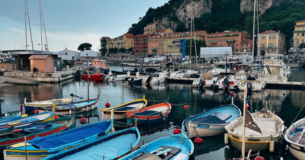 Couverture : Investing in Nice property