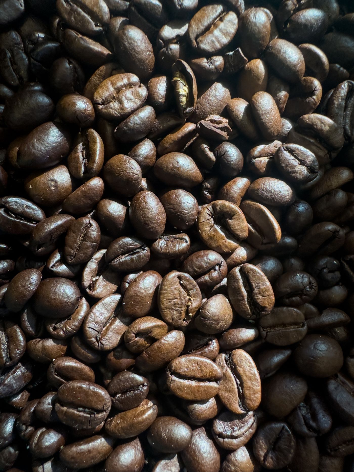 After Rain coffee beans
