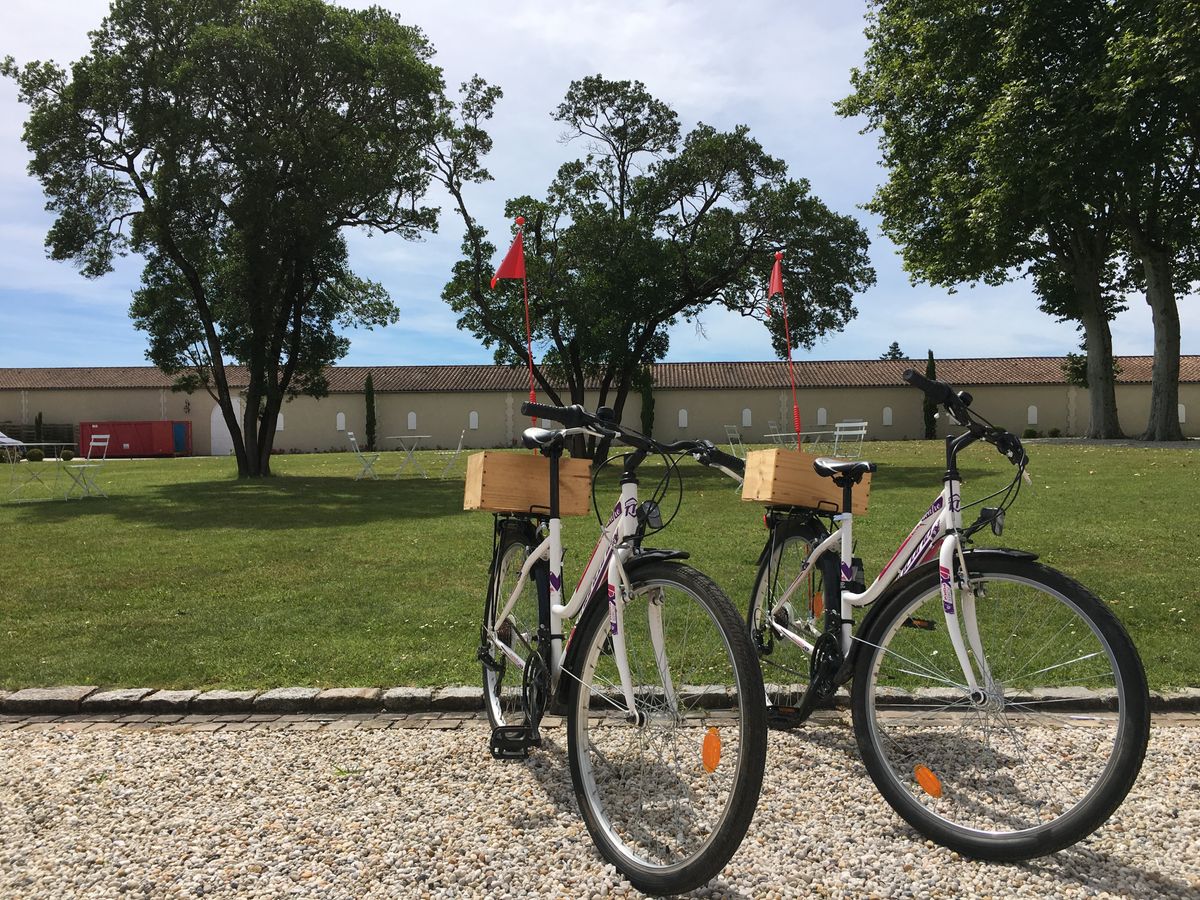 Doua biciclete sprijinite pe o alee de pietris