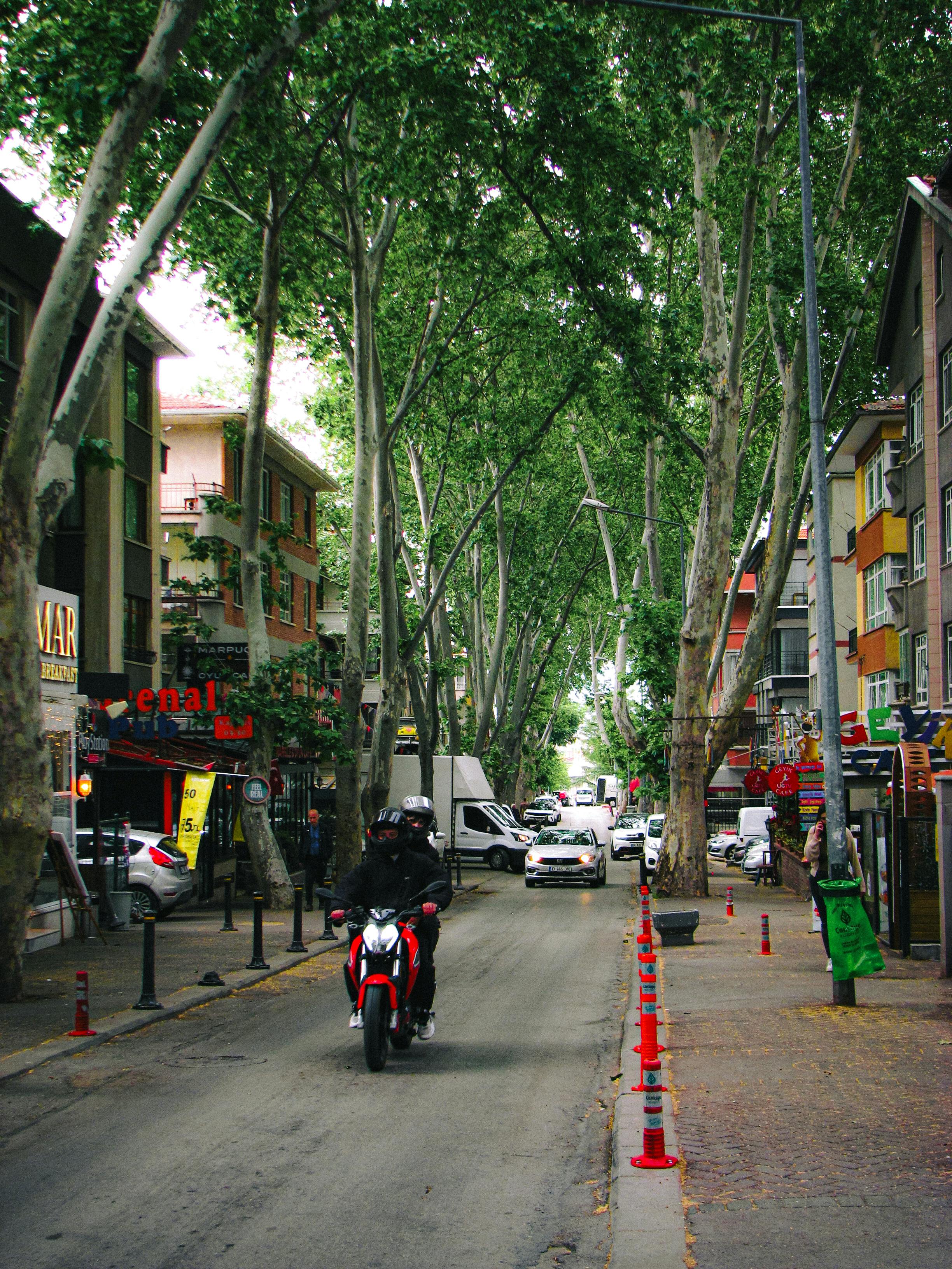 Ketchikan Shopping Directory