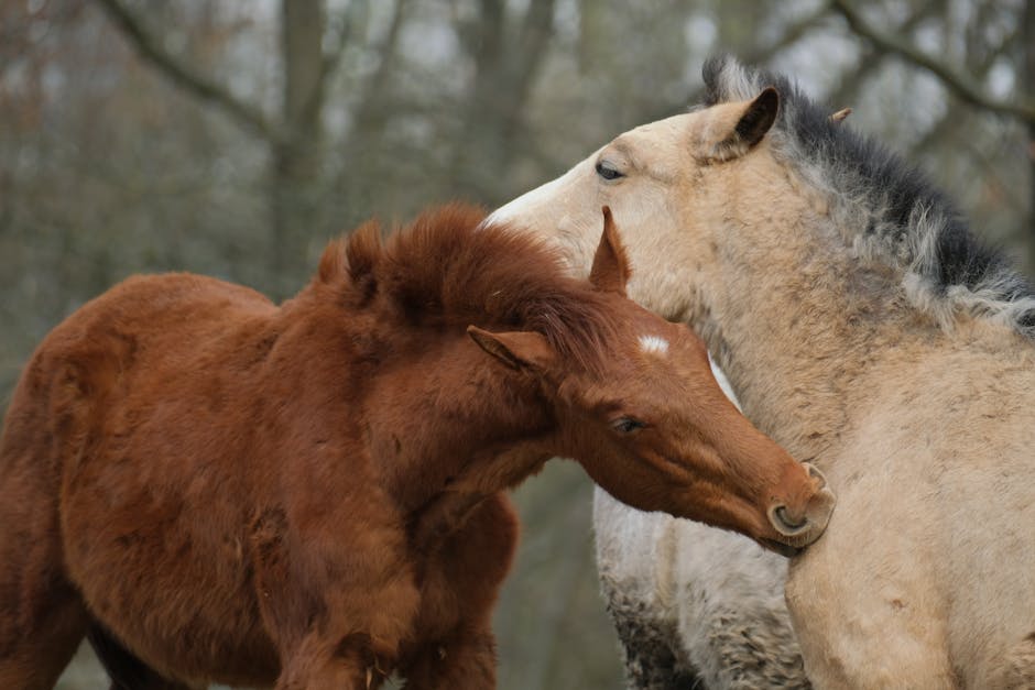 Slow Horses Season 5 release date: Speculation and confirmed information
