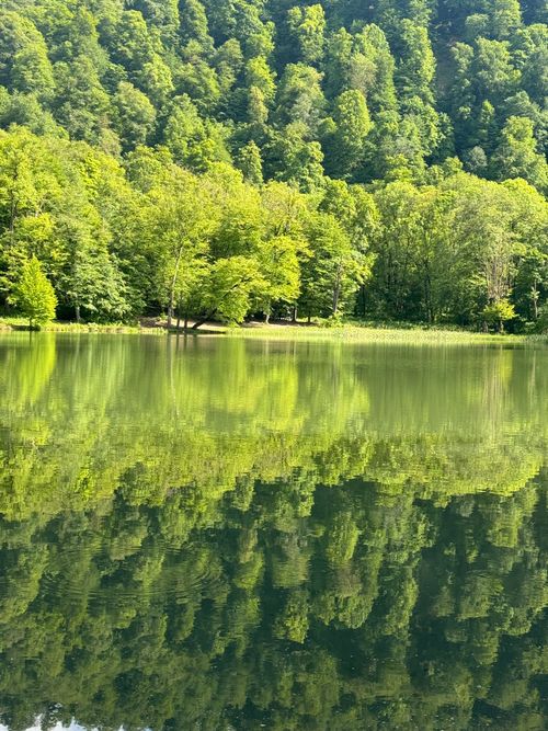 Free Peaceful forest and lake reflection under clear skies, evoking tranquility. Stock Photo