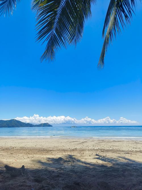 Free Peaceful tropical beach with palm trees and clear blue sky, offering a serene view. Stock Photo
