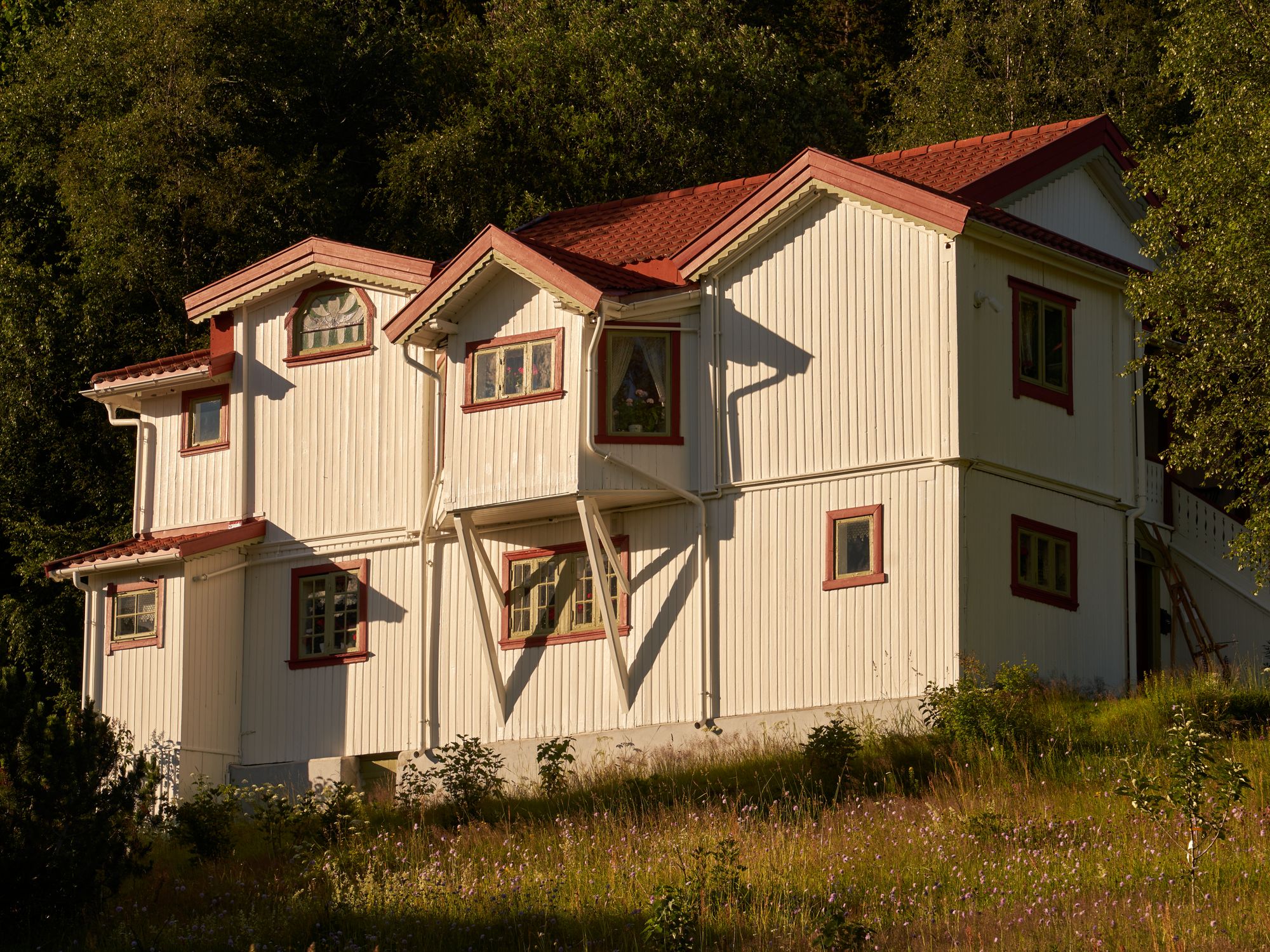 House Removals in Whitland, Wales — professional movers carrying furniture on a house move