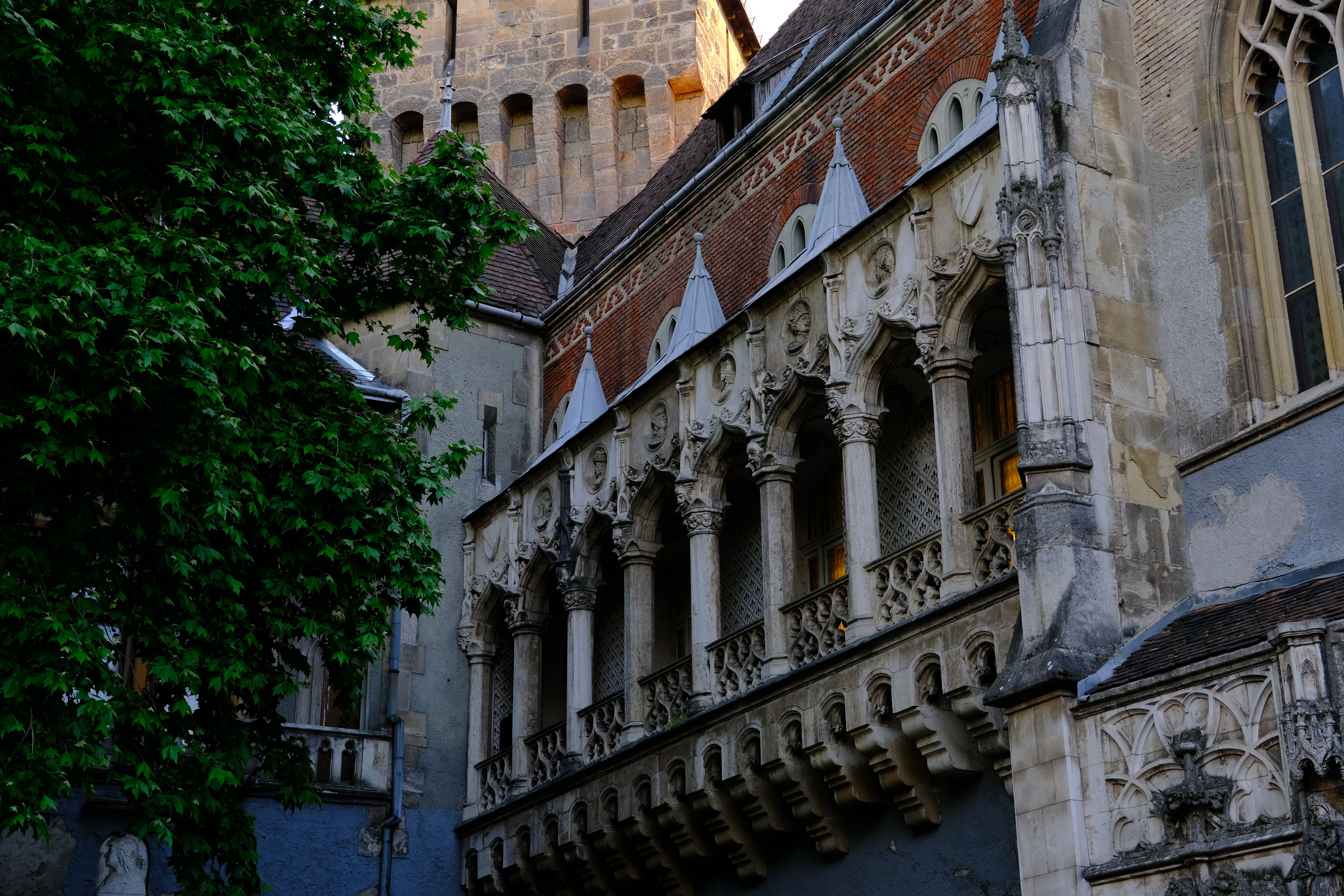 Captivating view of Gothic-style architecture in Budapest with ornate columns and detailed facades.