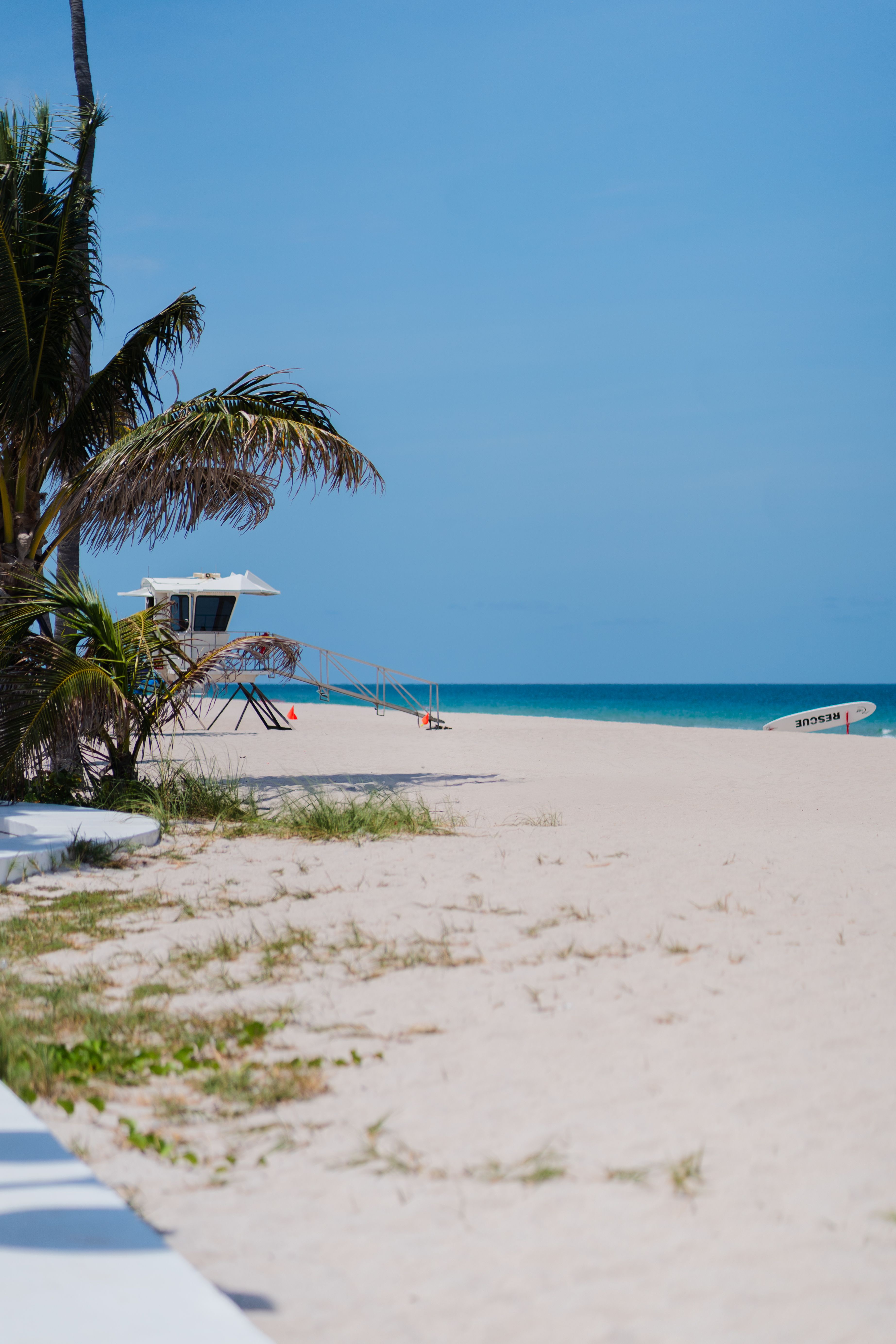 Tranquil South Florida beach