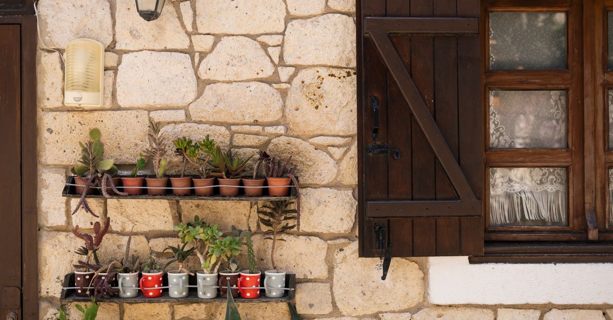 Comment réaliser un jardin vertical DIY avec des matériaux recyclés