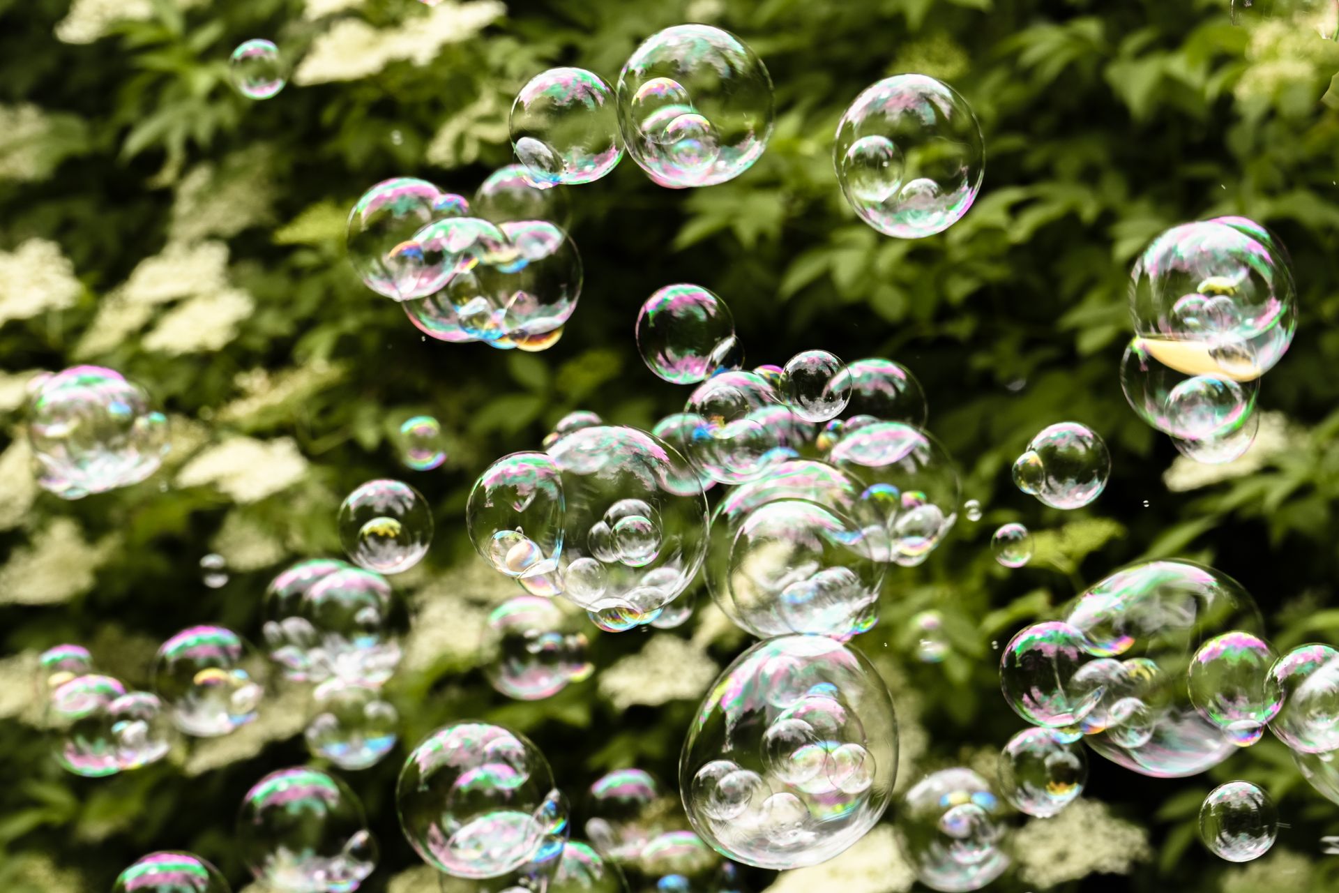 Colorful soap bubbles illuminated by sunlight float against a lush green garden background.