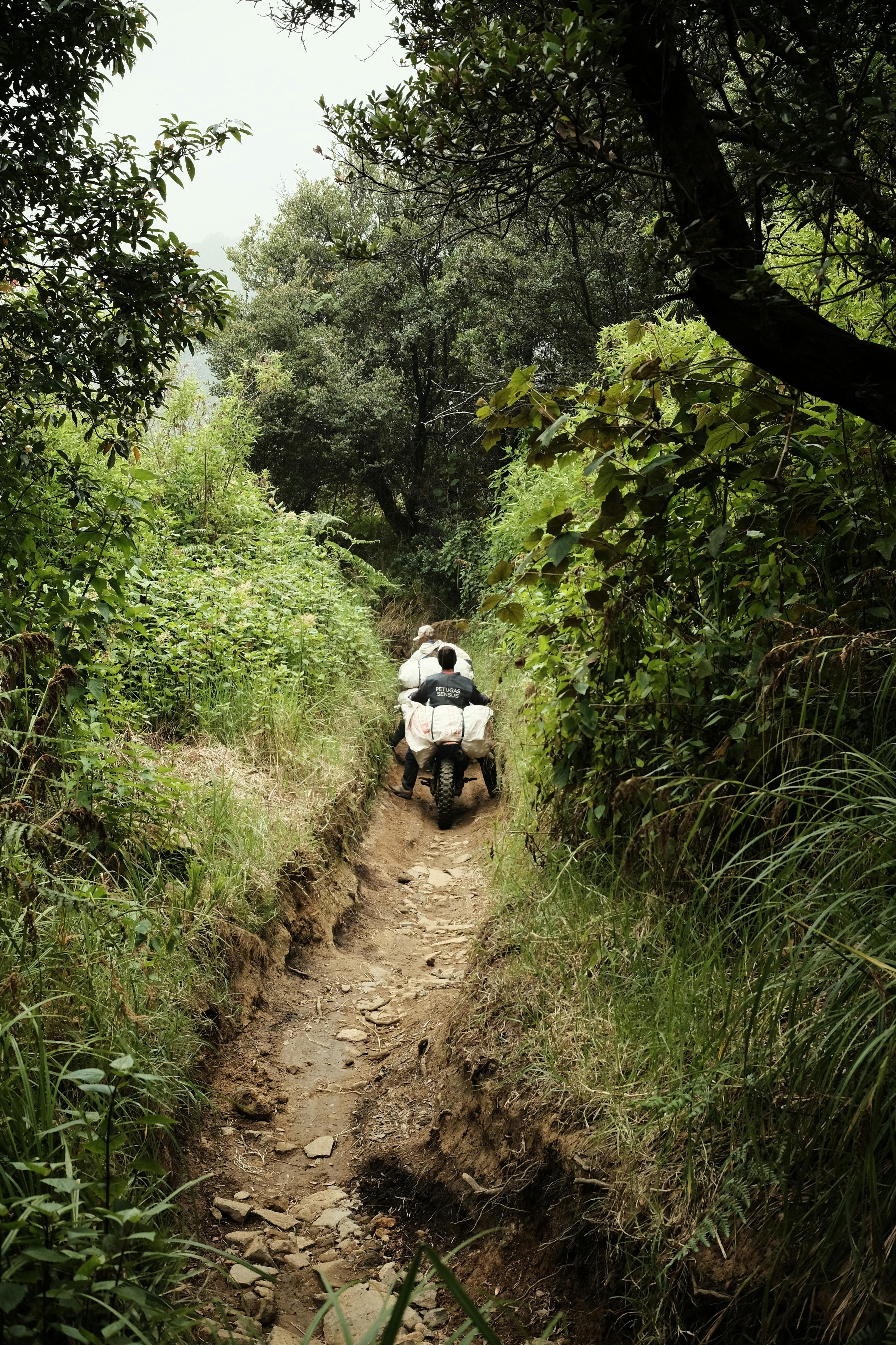 What Makes a Good ATV Trail?