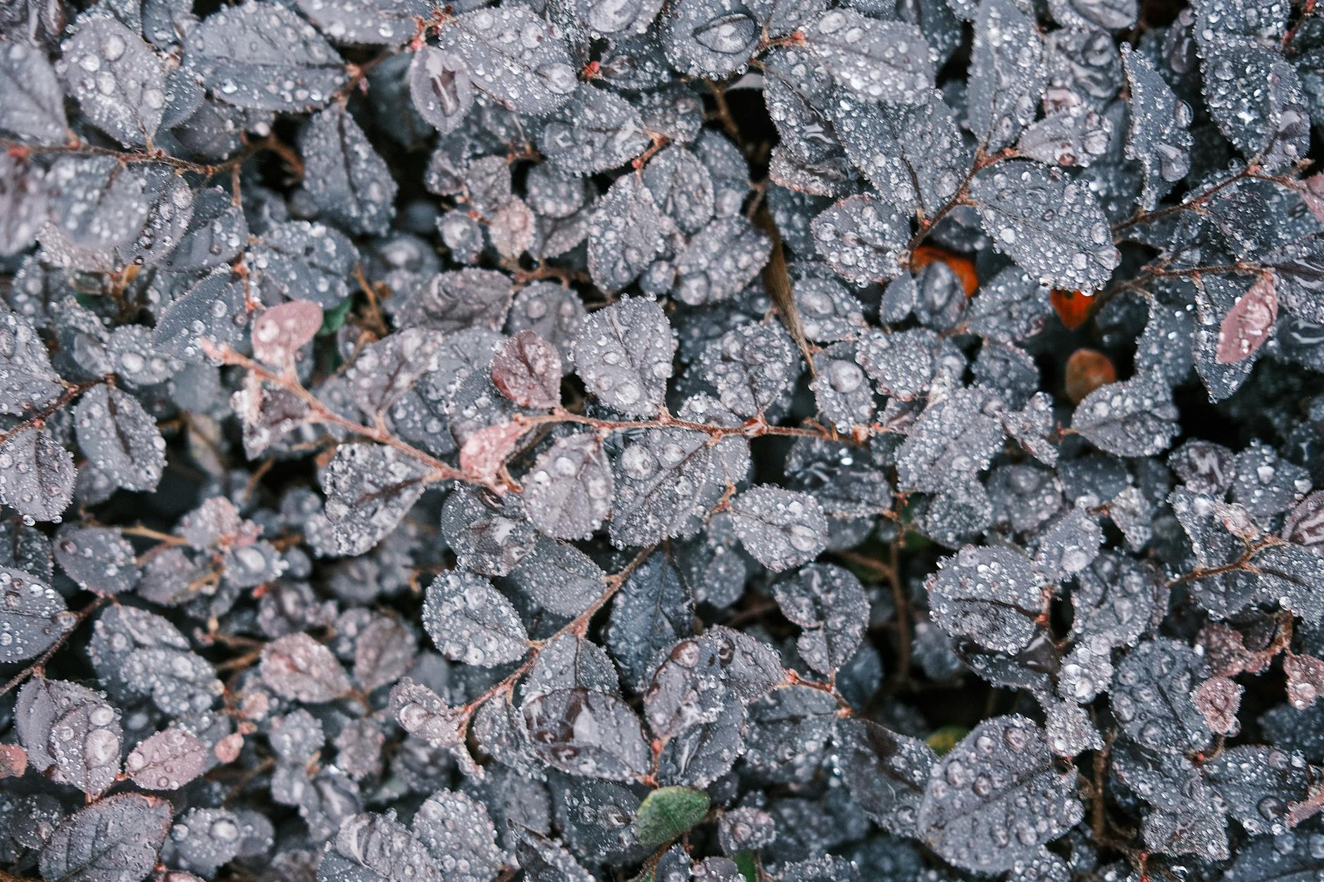 乘風破浪的航海日誌 探索海上冒險的樂趣 乘風破浪的航海日誌 探索海上冒險的樂趣