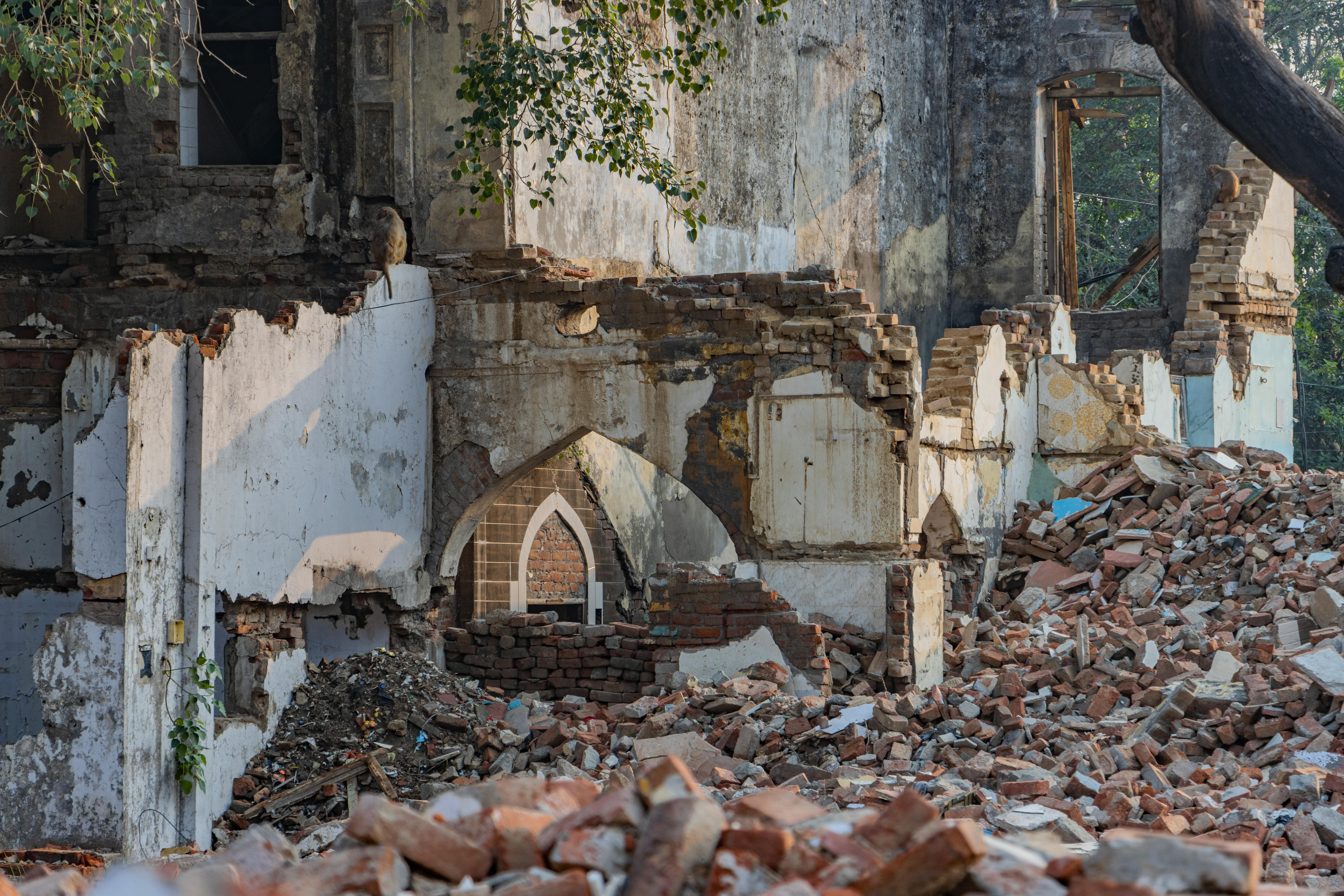 마이크로비오타 파괴의 원인
