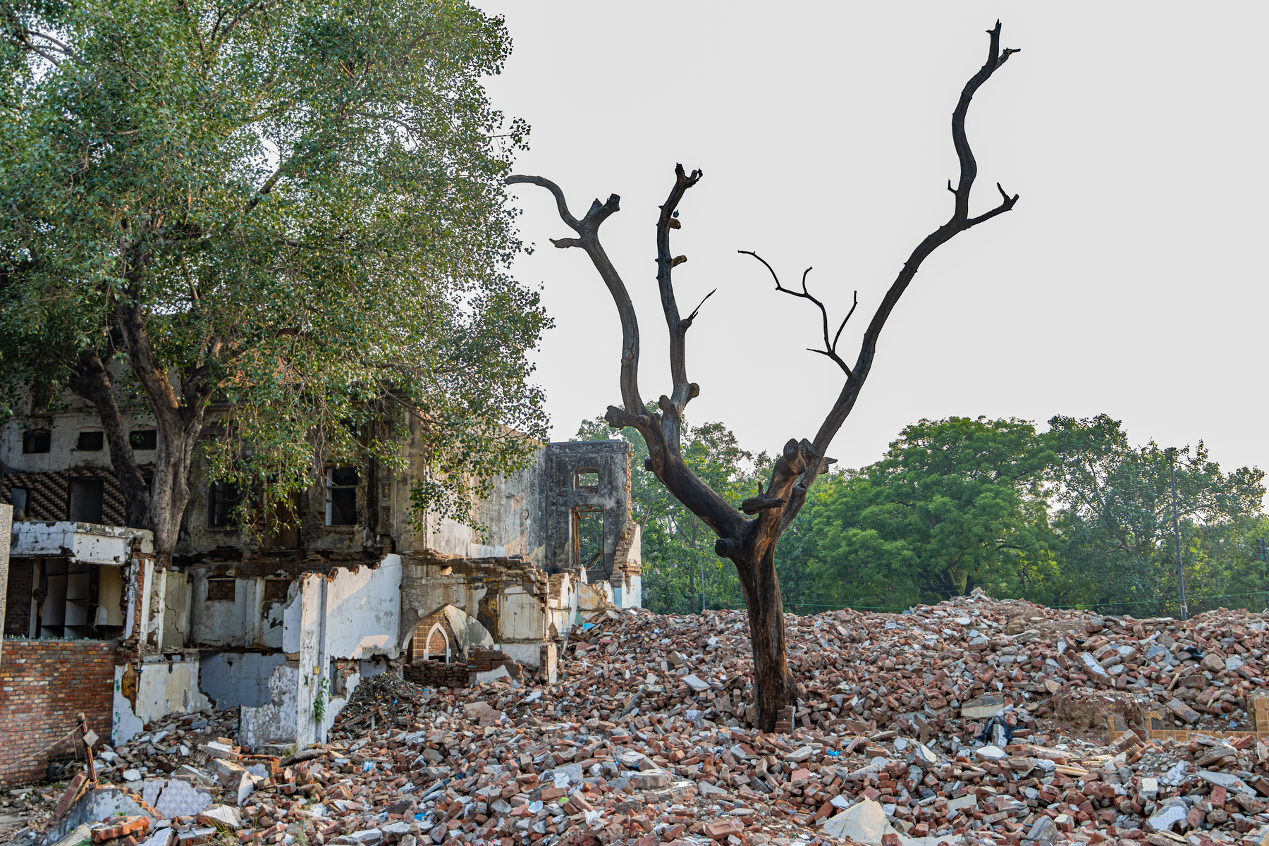 Rohini vs Defence Colony: Choosing Your New Delhi Base