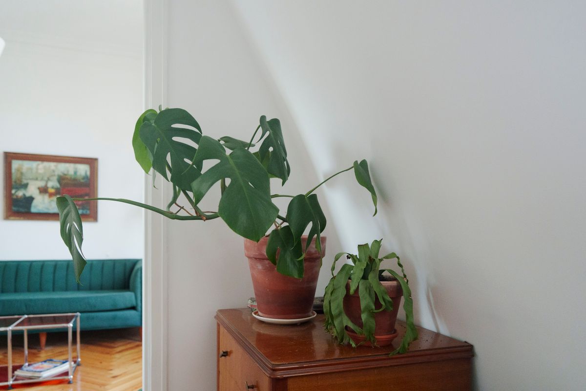 home removals in Waltham — Loaded properly: blankets, straps and a plan in Waltham