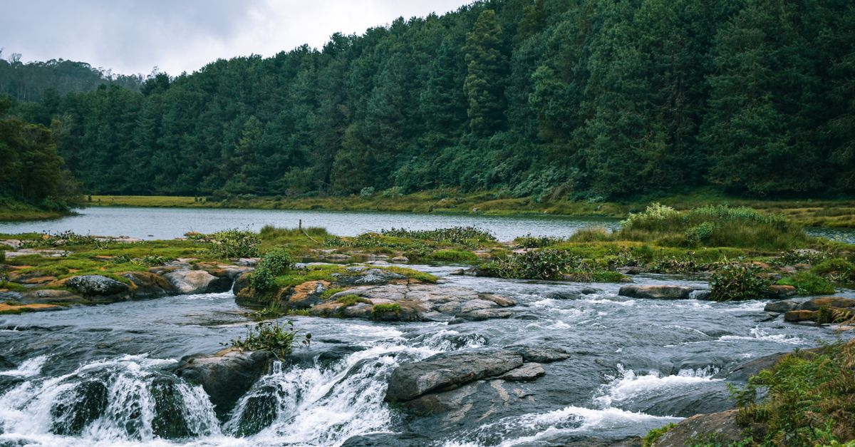 Scenic Landscape of Pykara Lake in Ooty, India · Free Stock Photo