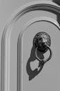 Elegant Lion Door Knocker Casting a Bold Shadow
