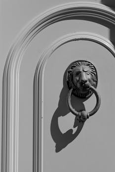 Black and white photo of a classic lion door knocker with a strong shadow on an ornate door.