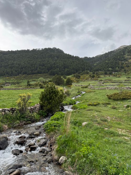 Free Scenic view of a lush green valley with a flowing stream and dense forest under a cloudy sky. Stock Photo