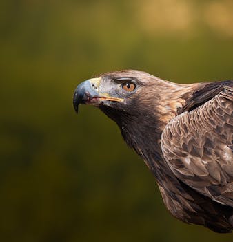 Exciting News from K-Drama World - exciting 1