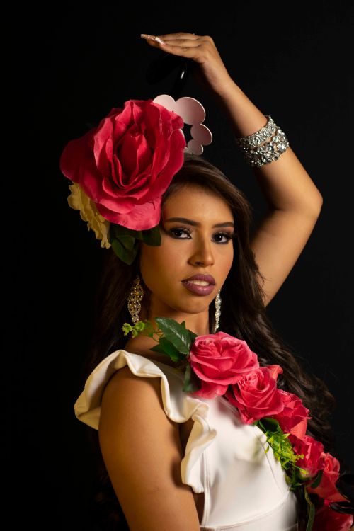 Free Portrait of a vibrant flamenco dancer adorned with red roses and sparkling jewelry, set against a dark background. Stock Photo