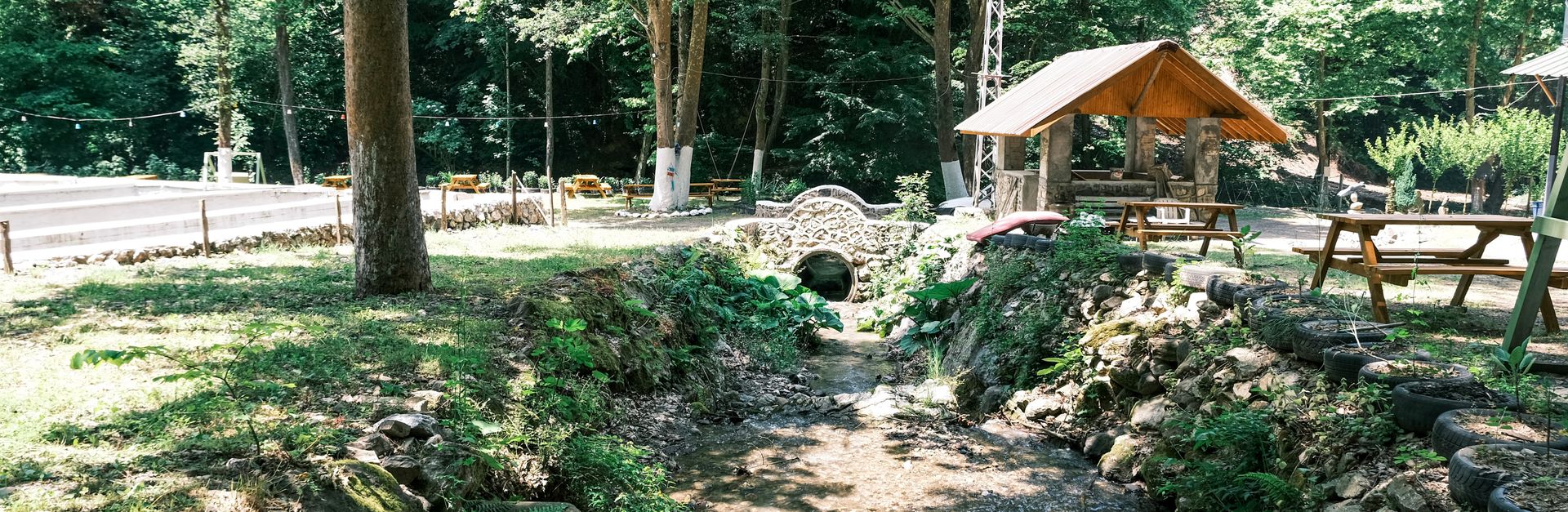 A tranquil forest stream beside a picnic area under a sunny summer sky, perfect for relaxation.