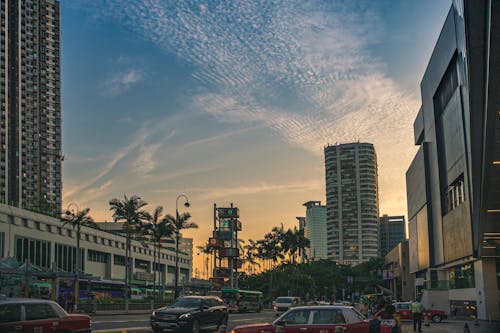 White and Gray High Rise Buildings