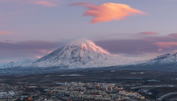 Petropavlovsk market + harbour — Kamchatka