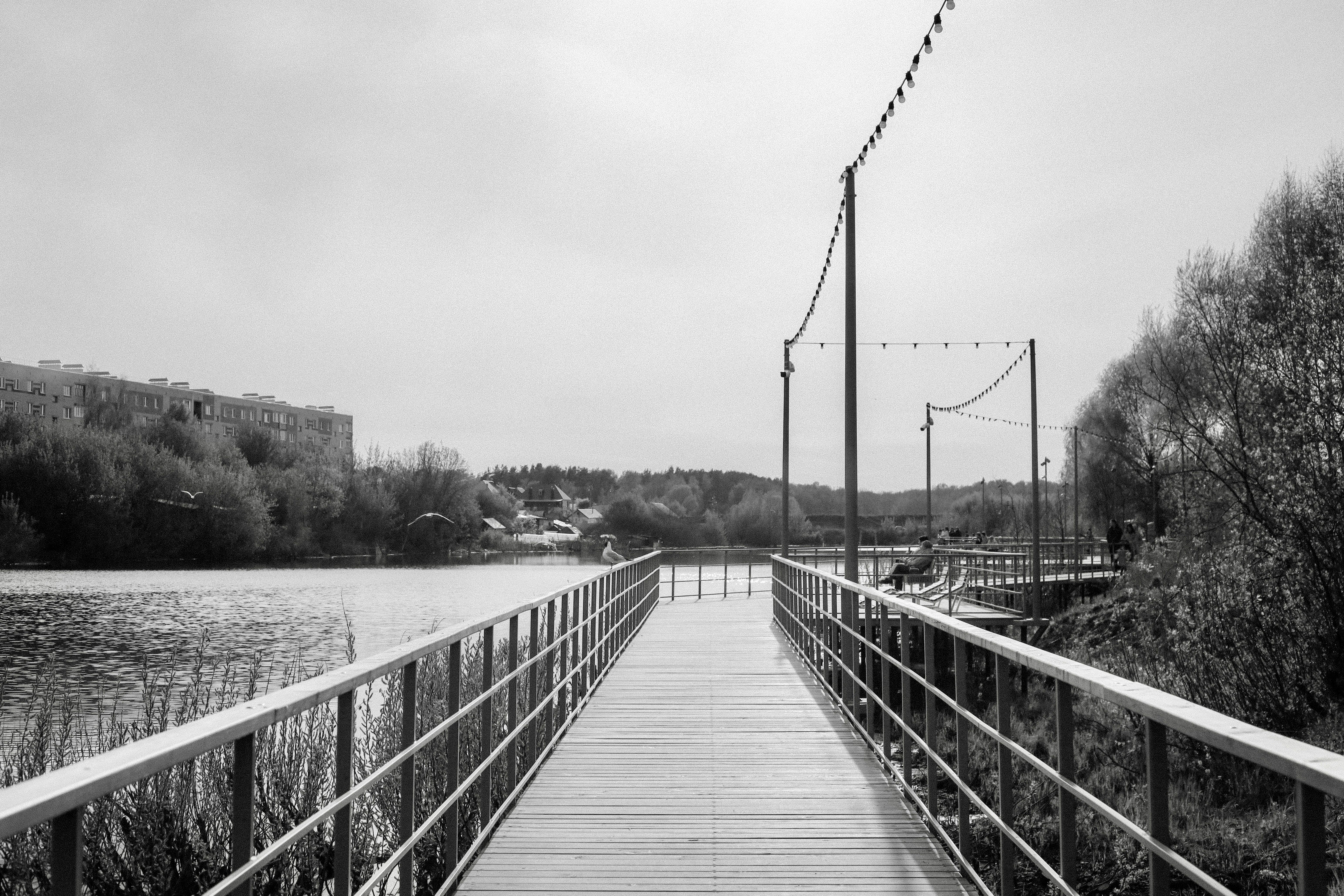 Black and White Scenic Riverside Boardwalk · Free Stock Photo