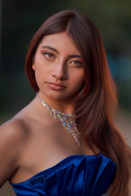 Elegant Portrait of a Woman in Blue Dress · Free Stock Photo