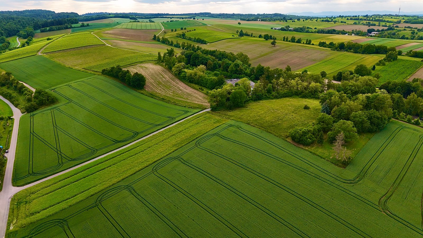 Parcelas agrícolas divididas vistas desde el aire