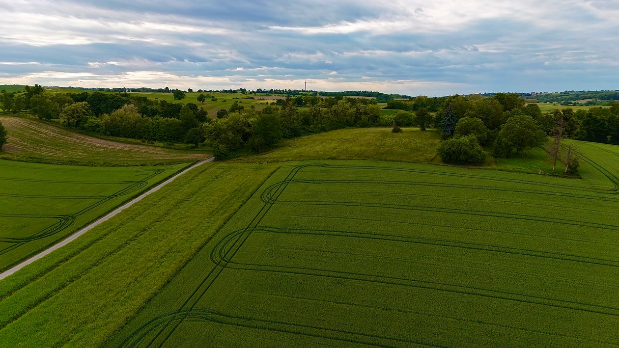 Aerial View of Lush Green Fields Under Cloudy Sky · Free Stock Photo
