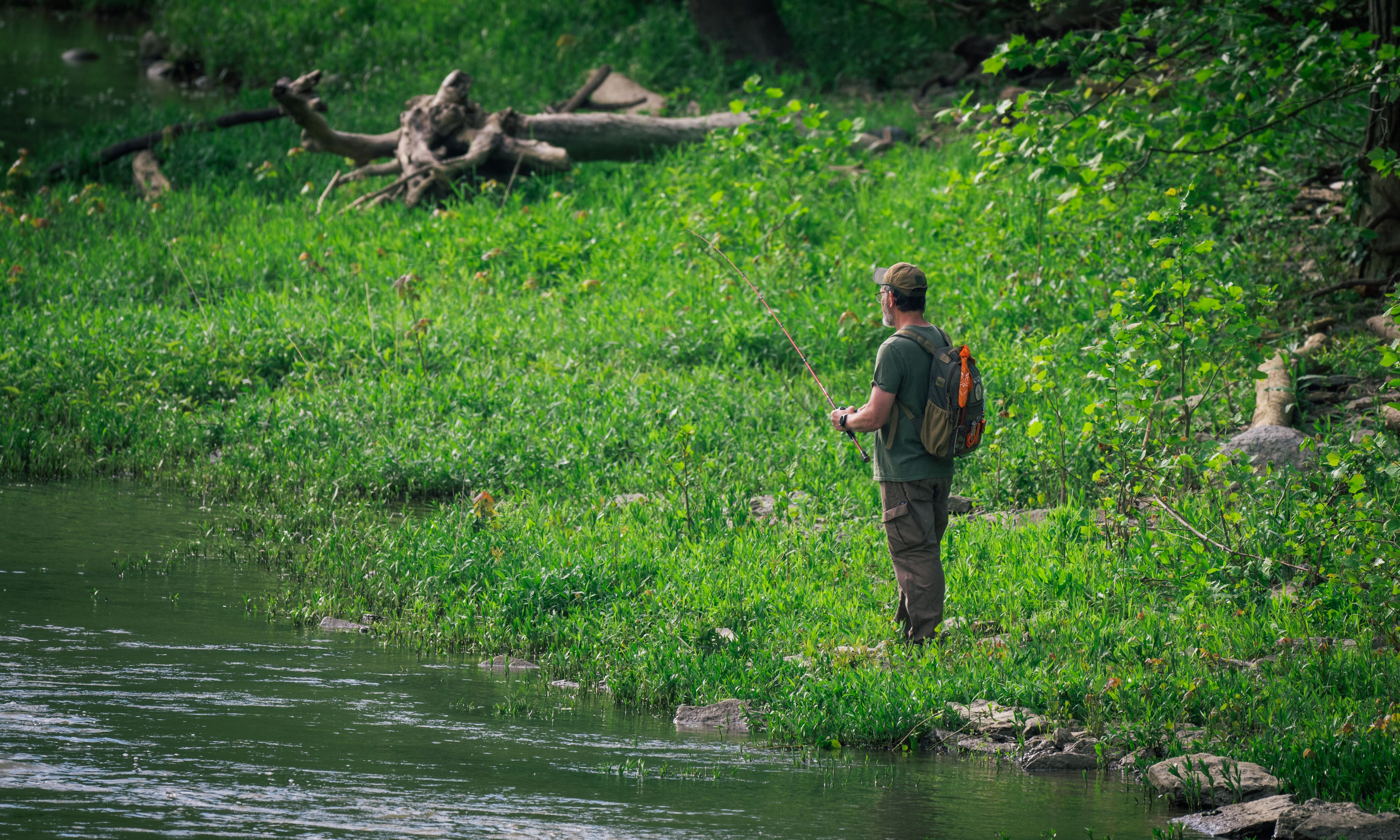 A man stands by a river with a fishing rod, surrounded by lush greenery in a tranquil forest setting.