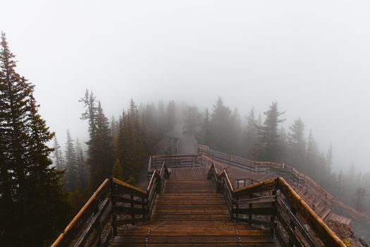 A mysterious wooden path enveloped in dense fog, surrounded by pine trees in Banff National Park.